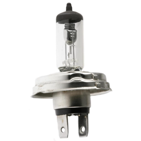 6V Halogen Bulb