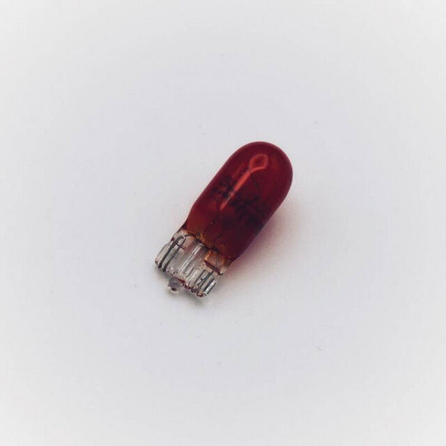 12V Non-Halogen Bulb - 10 Pack